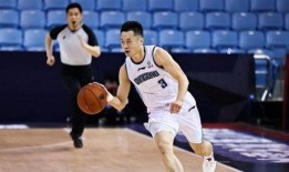 山东队最新爆料杨鸣