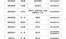 王先生爆料人员名单最新,揭秘神秘人员名单背后的惊人真相