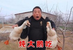 大鹅爆料文哥是真的吗视频,文哥真相揭秘，视频揭示惊人内幕