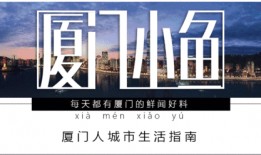 厦门爆料视频,现场直击事件真相