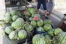 莱阳网红吃瓜事件,一场网络狂欢背后的真相与反思