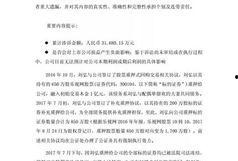 乐视高管爆料老贾视频,贾跃亭视频背后的真相与内幕