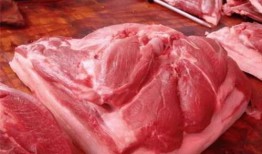 爆料小品卖驴肉视频在线观看,真相与争议并存