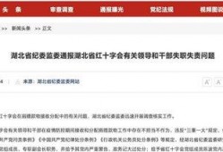 新闻网红爆料视频大全播放,热门事件瞬间回顾