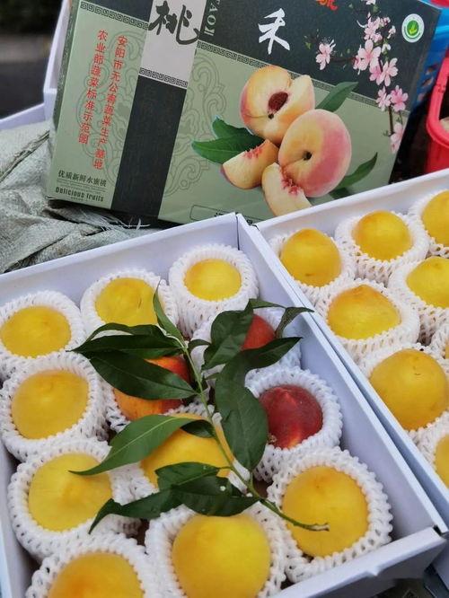 娱乐吃瓜视频背景怎么做,揭秘明星幕后故事